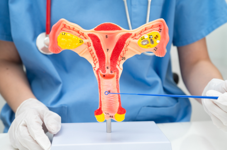 Sharada’s Urban Clinic